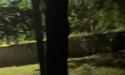 公园后入媳妇